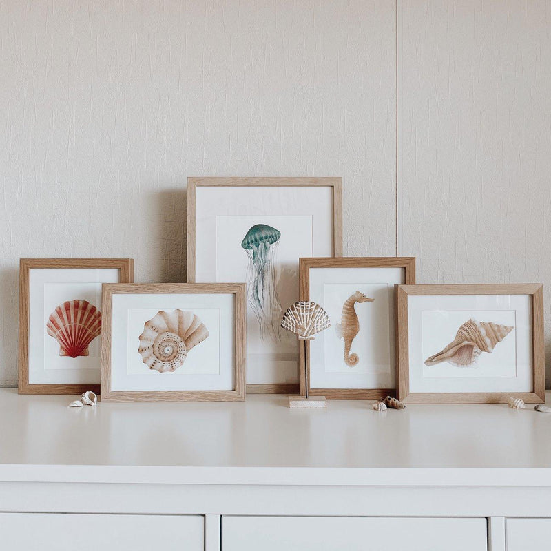 Jo Collier Whelk Shell Print A5 - My Playroom 