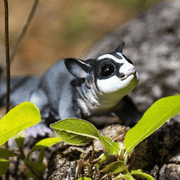 Sugar Glider Australian Incredible Creature Figurine - My Playroom 
