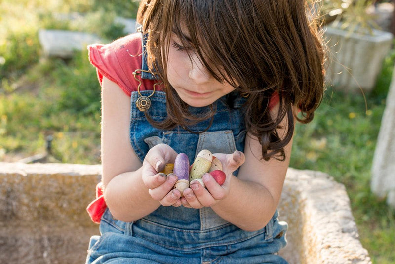 Grapat Insects 6 Colours 18 Pieces 3yrs+ - My Playroom 