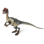 Dilophosaurus Figurine Large Dinosaur and Prehistoric World Collection - My Playroom 