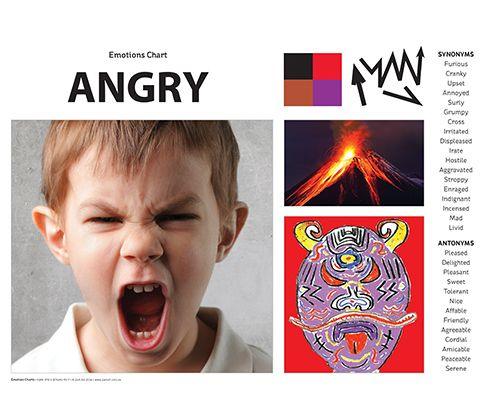 Emotions Art & Language Chart Pack A3 - My Playroom 