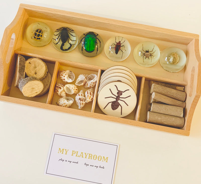 Montessori Wooden Sorting Tray - My Playroom 