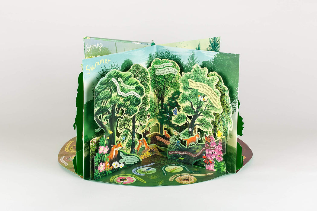 A Year in Nature: A Carousel Book of the Seasons (Hardcover) - My Playroom 