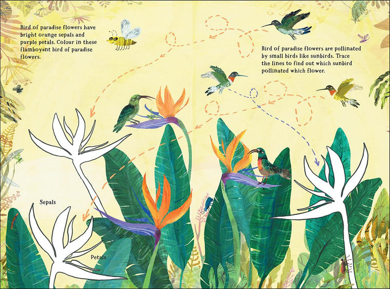 The Big Sticker Book of Blooms (Paperback) - My Playroom 