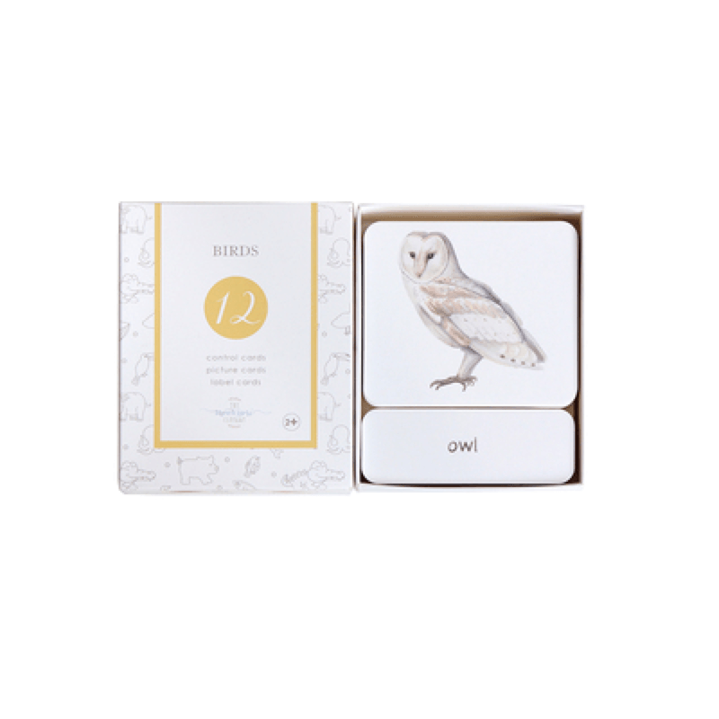 Birds 3-Part Cards English - My Playroom 