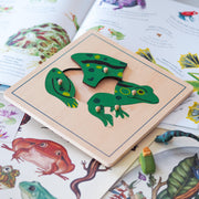 Frog Montessori Wooden Puzzle - My Playroom 