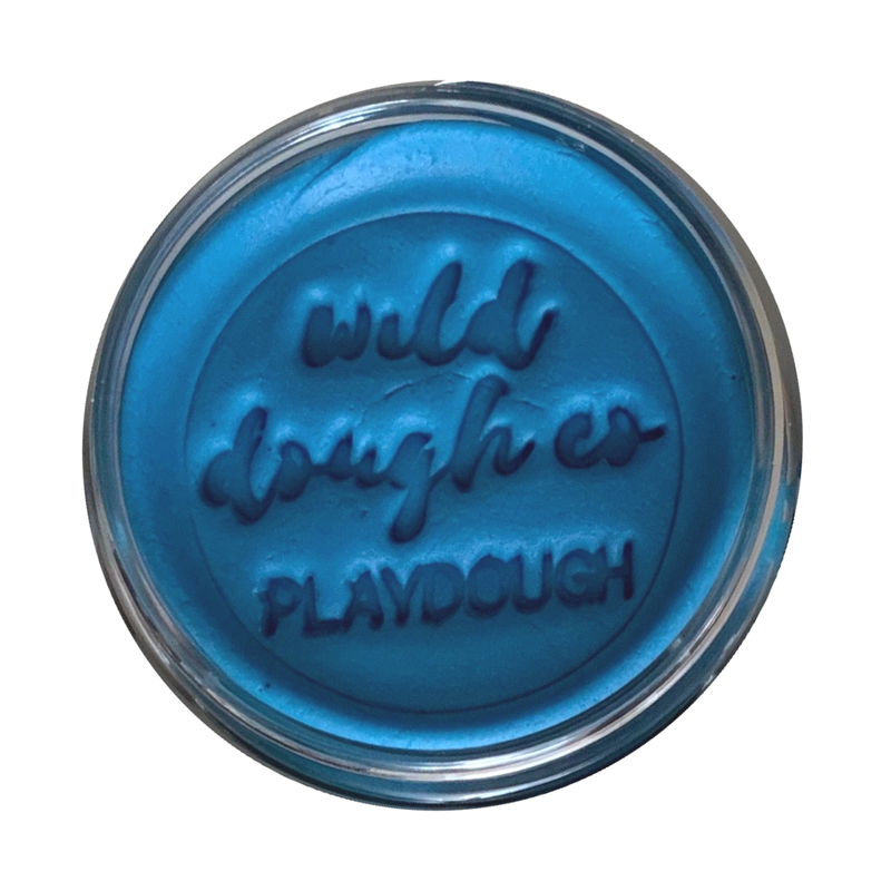 Wild Dough Pacific Blue Playdough Blueberry Scent 280gram Sensory Toys Art and Craft Best Seller 3yrs+