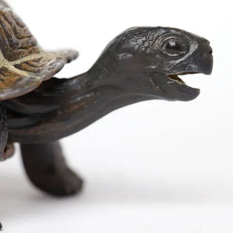 Tortoise Turtle Animal Figurines by Safari Ltd 3yrs+