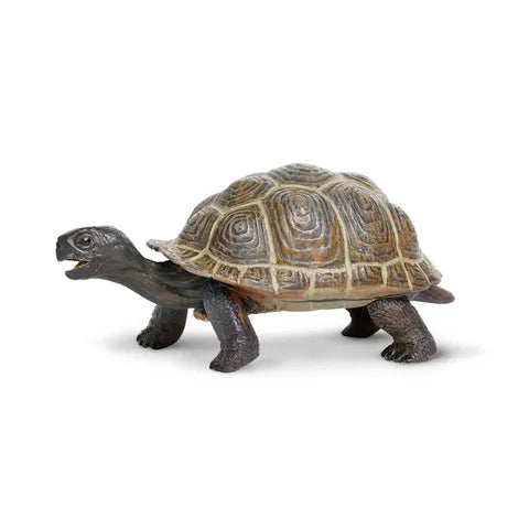 Tortoise Turtle Animal Figurines by Safari Ltd 3yrs+ — My Playroom
