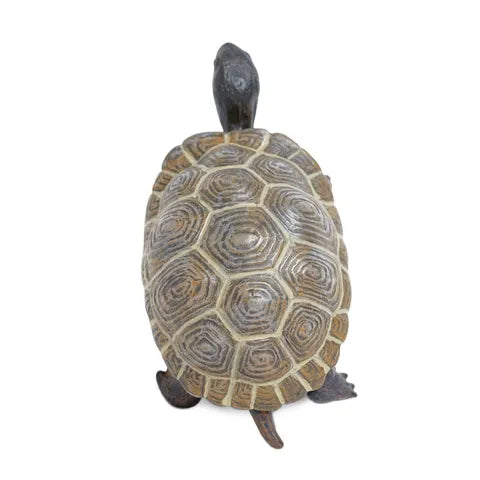 Safari Ltd Tortoise Baby Figurine Toy