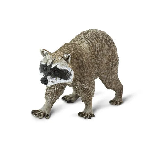 Raccoon Figurine by Safari Ltd Safari Collection Animal Figurines 3yrs+