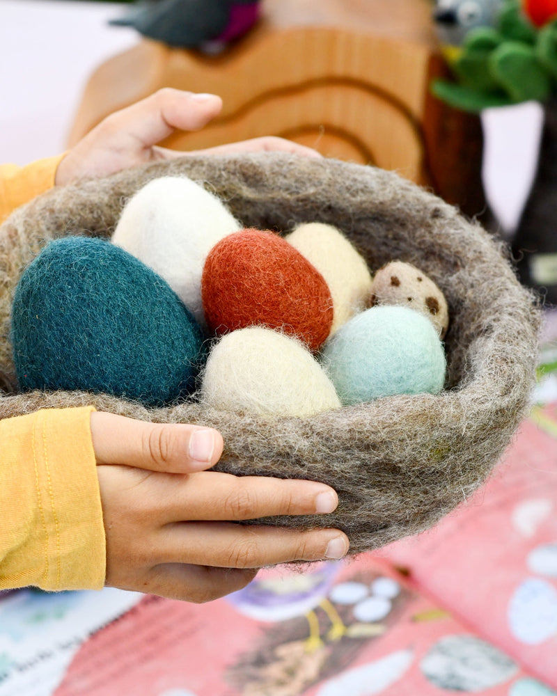 Tara Treasures Felt Eggs (7 Types of Poultry Eggs) Pretend & Imaginative Play Toys 3yrs+