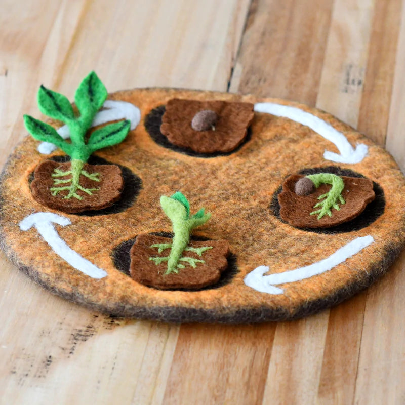 Tara Treasures Felt Lifecycle of Bean Plant - My Playroom 
