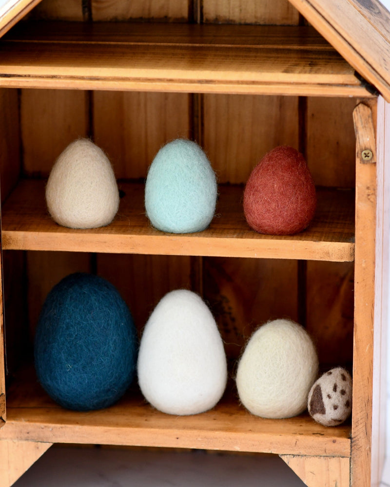 Tara Treasures Felt Eggs (7 Types of Poultry Eggs) Pretend & Imaginative Play Toys 3yrs+