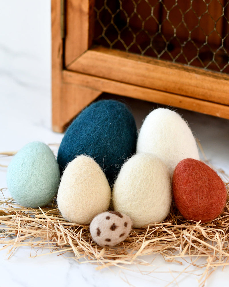 Tara Treasures Felt Eggs (7 Types of Poultry Eggs) Pretend & Imaginative Play Toys 3yrs+