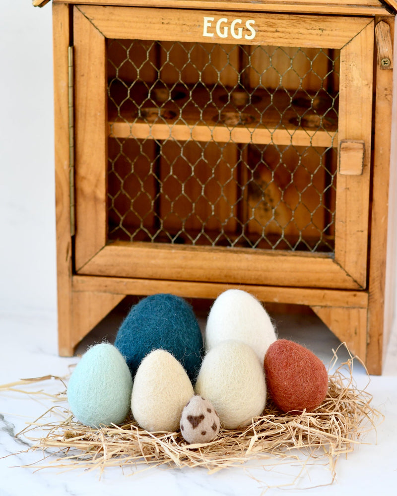 Tara Treasures Felt Eggs (7 Types of Poultry Eggs) Pretend & Imaginative Play Toys 3yrs+
