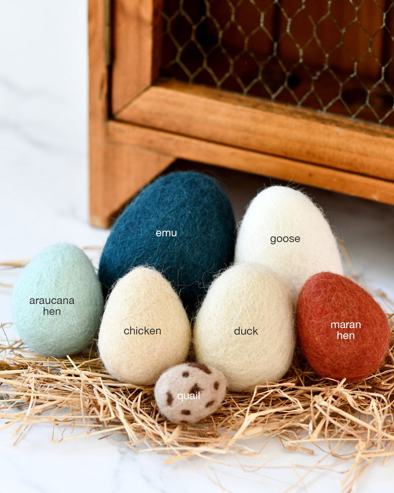 Tara Treasures Felt Eggs (7 Types of Poultry Eggs) Pretend & Imaginative Play Toys 3yrs+