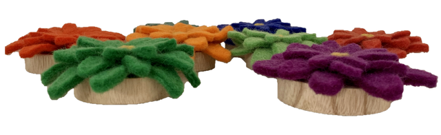 Papoose Felt Goethe Aster Flower 12pcs Pretend & Imaginative Play Toys 3yrs+