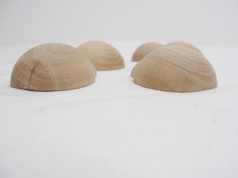 Wooden Ladybug Set of 10 pieces Nature Play Tools and Toys 3yrs+