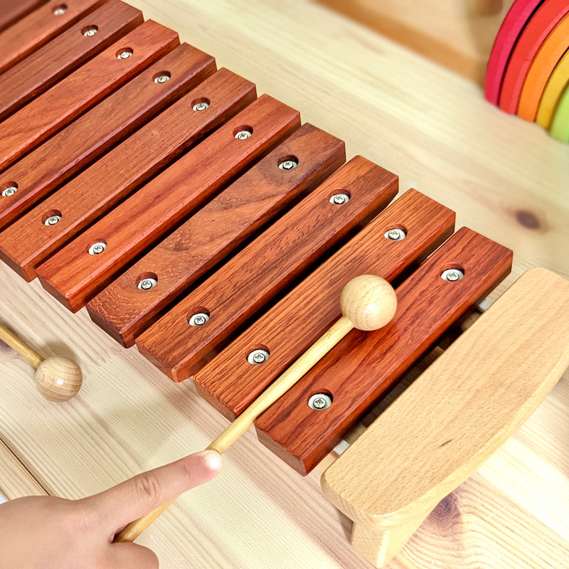 PlayMe 12 Keys Large Wooden Xylophone 56cm(L) Musical Instruments for Kids  3yrs+