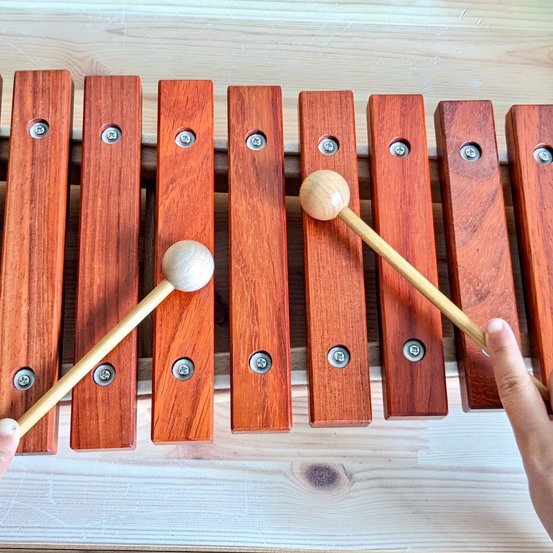 PlayMe 12 Keys Large Wooden Xylophone 56cm(L) Musical Instruments for Kids  3yrs+