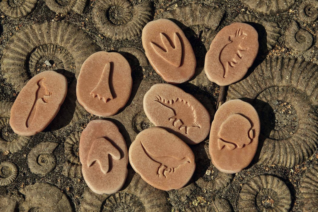 Yellow Door Let’s Investigate Dinosaur Footprints Set of 8 Sensory Stone 3yrs+