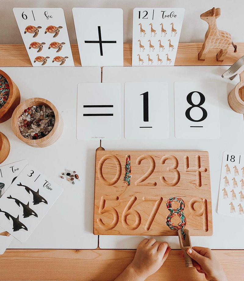 Jo Collier "Nature's 123" Flashcards - My Playroom 