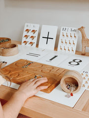 Jo Collier "Nature's 123" Flashcards - My Playroom 