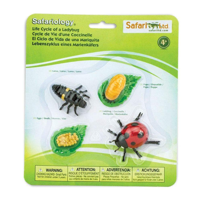 Life Cycle of a Ladybug Montessori Language Figurines Collection 4yrs+