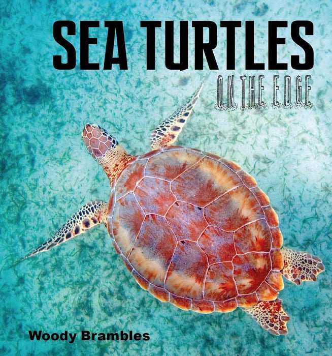Sea Turtles: On the Edge (Paperback)