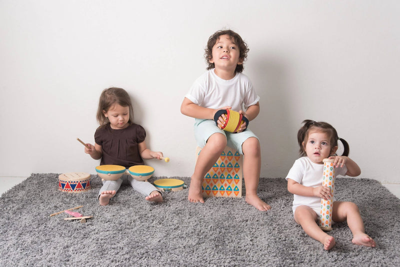 PlanToys Concertina Toddler Toys Musical Intruments for Toddlers 18m+