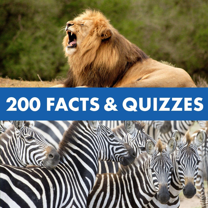 Geosafari® Jr Talking Wildlife Camera (featuring Robert Irwin) by Educational Insights Early Science STEM Toys 4yrs+