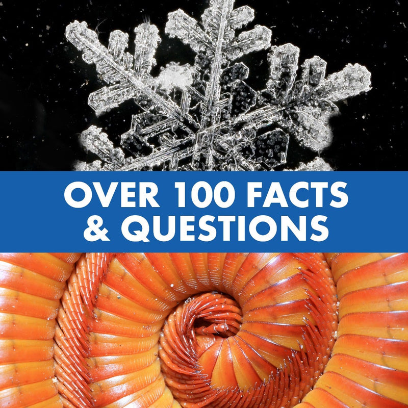 Geosafari® Jr Talking Microscope (featuring Bindi Irwin) by Educational Insights Early Science STEM Cognitive Developmental Toys for Kids 3yrs+